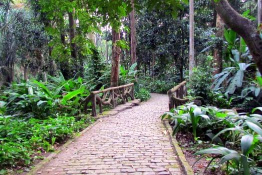 Parque Lage