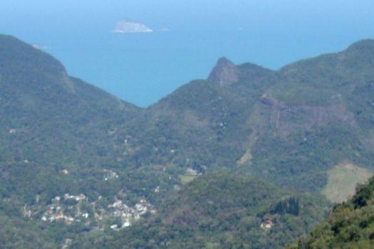 Tijuca Forest