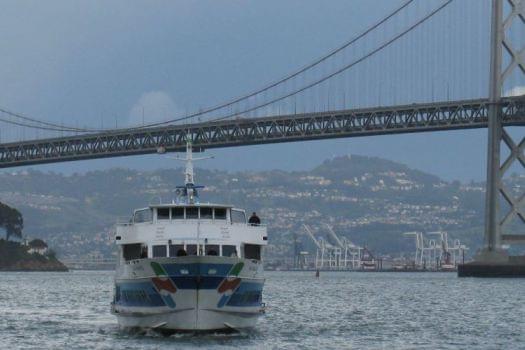 Cruise the San Francisco Bay