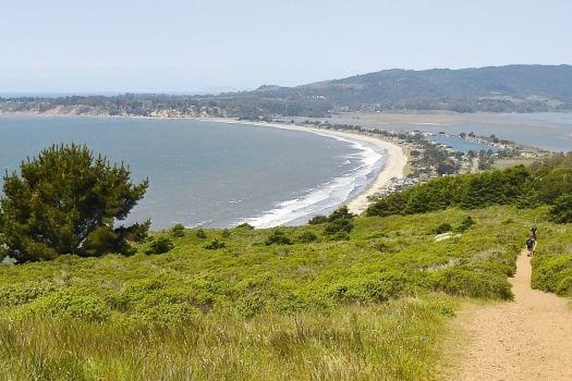 Mt. Tamalpais State Park