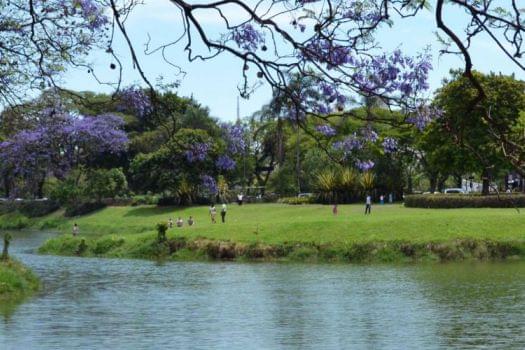 Ibirapuera Park, Sao Paulo