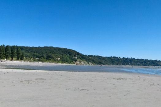 Discovery Park Beach