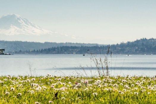 Seward Park Beach