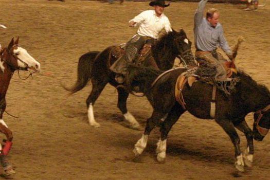 The Royal Winter Fair