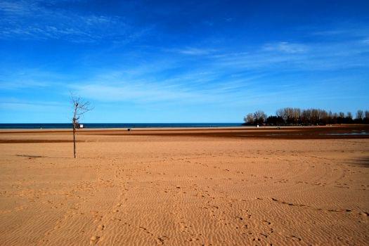 Woodbine Beach