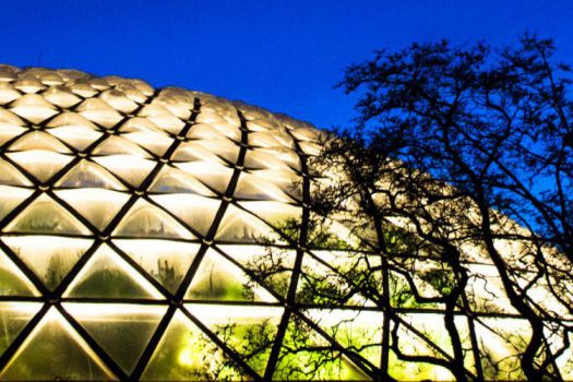 Bloedel Floral Conservatory