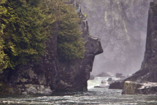 Capilano River Hatchery