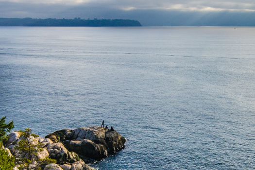 Lighthouse Park Beach