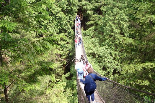 Lynn Canyon Park