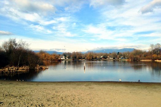 Trout Lake Beach