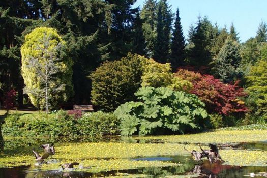 VanDusen Botanical Garden