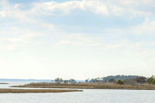 Assateague Island National Seashore, Washington DC