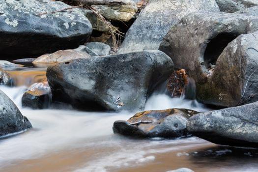 Rock Creek Park