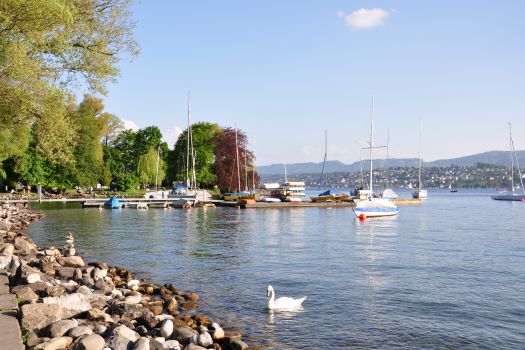 Zürichhorn