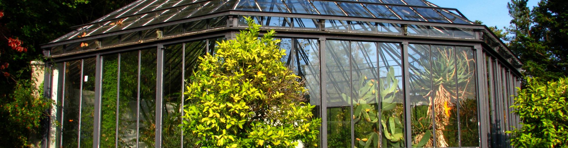 Alter Botanischer Garten Cultural & Historical Zurich