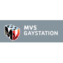 MSV Gaystation's profile