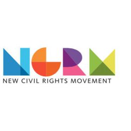 The New Civil Rights Movement's profile