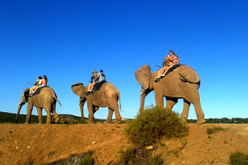 Garden Route, Cape Town